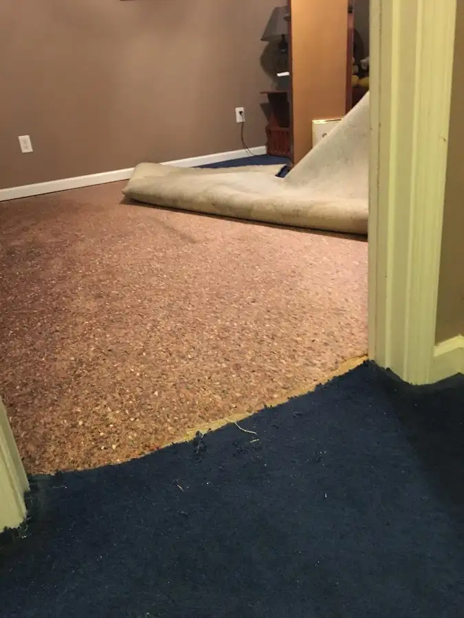 Carpet pad removal revealing water damage during Drying & Dehumidification in Flagstaff