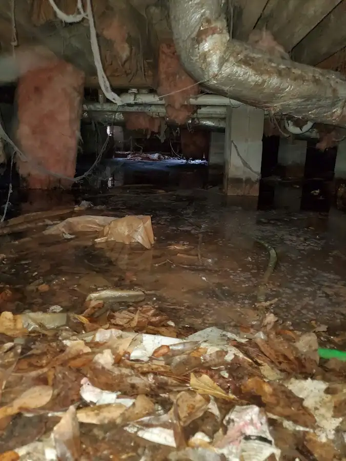 Crawl space flood assessment for Commercial Water Damage Restoration in Flagstaff